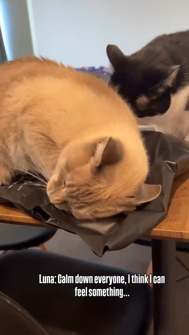 Instagram post from crybabyliftingclub. This post is in position 2.